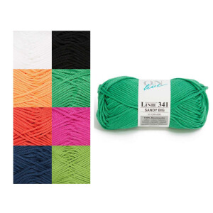 LINIE 341 SANDY BIG
