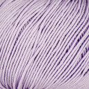 ONline Linie  23 Club 31