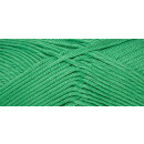 ONline Linie  341 Sandy Big 13