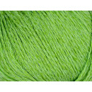 ONline Linie  513 Vega 07