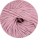 ONline Linie 55 Montego 66