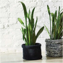 RICO DESIGN FASHION JERSEY SCHWARZ