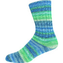 Online Supersocke 100 Sort. 374 Spezial Color 3094