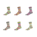 Online Supersocke 6-Fach Sort 376 Snowfall