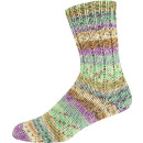 Online Supersocke 100 Sort 376 Snowfall 3104