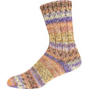 Online Supersocke 6-Fach Sort 376 Snowfall 3106
