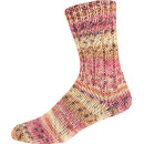 Online Supersocke 6-Fach Sort 376 Snowfall 3111