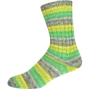 ONline Supersocke 100 Sort. 381 Wonderland Color 3136