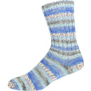 ONline Supersocke 100 Sort. 385 Silk-Color 3166
