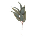 GLOREX EUKALYPTUS-ZWEIG 38 CM