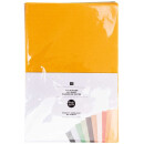 RICO FILZPLATTEN SET 1MM 20X30CM (10 FARBEN) 04 ERDFARBEN