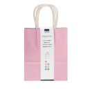 GLOREX PAPIERTRAGETASCHE MIT KORDELGRIFF PASTELL 18 x 21 x 8 cm (7 STK.)