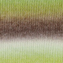 SCHEEPJES STONE WASHED FLOW XL 04 Reverie