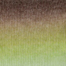 SCHEEPJES STONE WASHED FLOW 04 Reverie