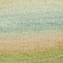 RICO DESIGN CREATIVE PAINTED POWER COTTON DK SUMMER FRUITS