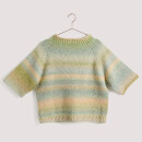 RICO DESIGN CREATIVE PAINTED POWER COTTON DK SUMMER FRUITS