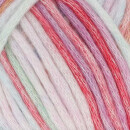 SCHEEPJES STONE WASHED MINERALS XXL 906 Opal Ocean