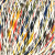 ONline Linie 557 Palermo 03
