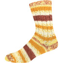 ONline Supersocke 6-Fach Sort. 396 Merino-Color 3244