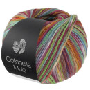 LANA GROSSA COTONELLA MULTI 112
