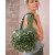 BAGS No. 3 THE BAST